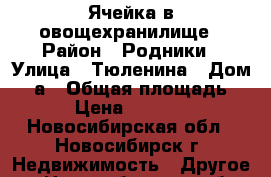 Ячейка в овощехранилище › Район ­ Родники › Улица ­ Тюленина › Дом ­ 2а › Общая площадь ­ 3 › Цена ­ 110 000 - Новосибирская обл., Новосибирск г. Недвижимость » Другое   . Новосибирская обл.,Новосибирск г.